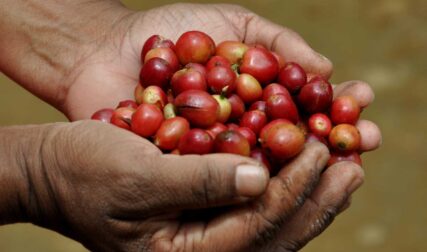 Bekijk deze foto op Lanka Coffee